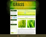 Wonder-Grass